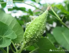 关于榬P鴄i伣?F6劯骯1藦?綹誻n鍍&amp;丱t@哽墛贶`靕T娔堋睊?的信息-实时比分